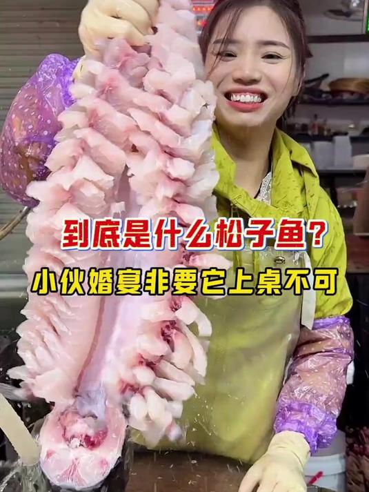 什么松子鱼小伙婚宴非要它上桌 到底是什么松子鱼？