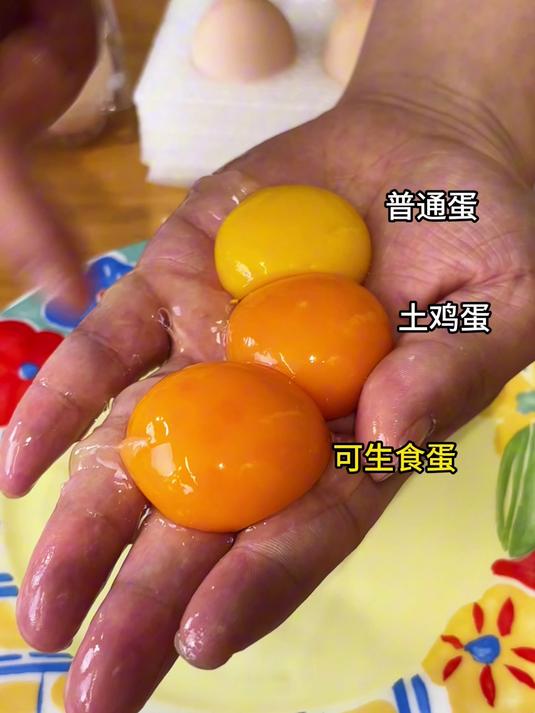 多款鸡蛋PK大赛,好念头始祖黑鸡蛋究竟为何如此风靡市场