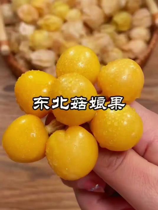 冻龄水果界黑马,姑娘果花青素满满,越吃越年轻