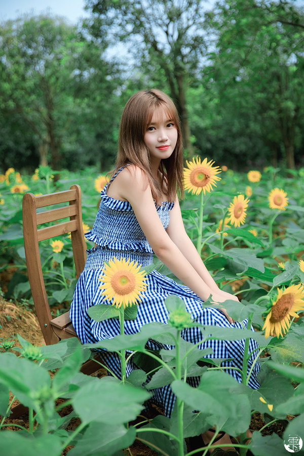 图片[9]-向日葵的少女-六色网