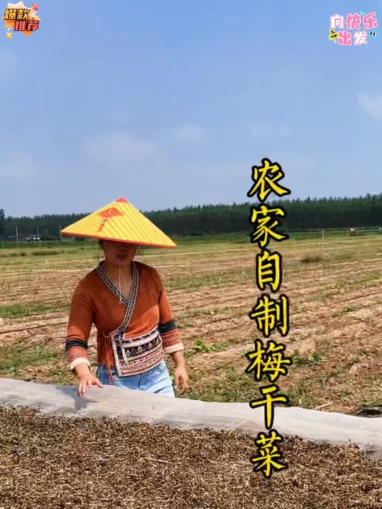 什么样的梅菜算是新鲜的啊