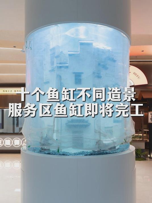 十个圆柱鱼缸不同造景，一镜到底现场实拍