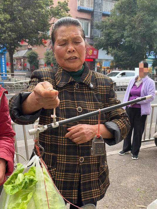 丈母娘砍150斤青菜送上门，再办些其它蔬菜，看总共卖了多少钱