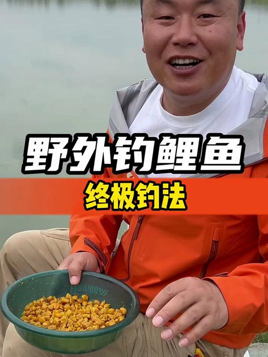 野外钓鲤鱼,终极钓法#春日收藏家#