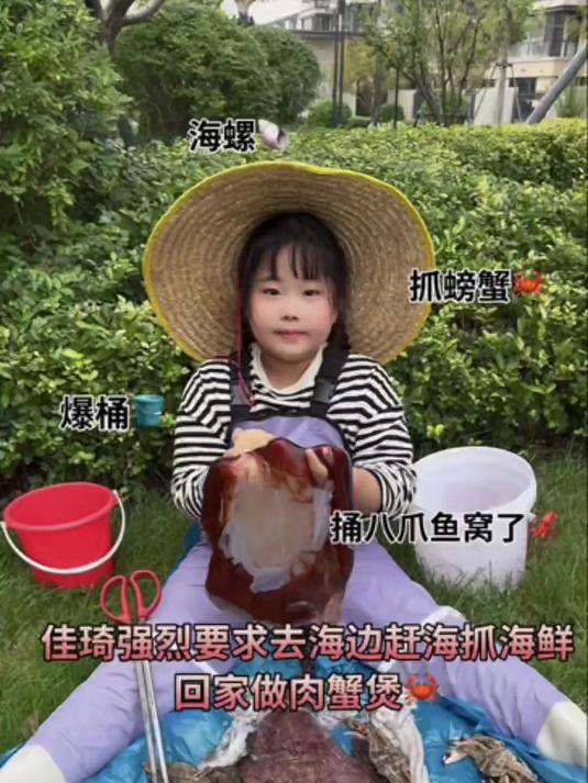 赶海一不小心又捅了八爪鱼窝