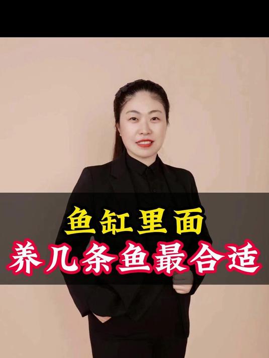 鱼缸里面养几条鱼最合适