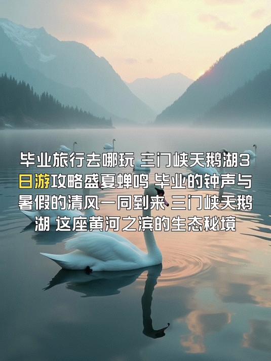 毕业旅行去哪玩,三门峡天鹅湖旅游攻略