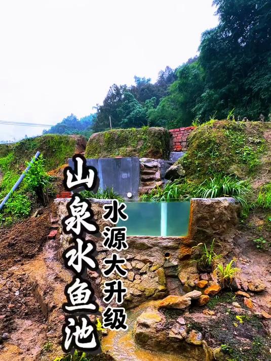 水源大升级，山泉水鱼池