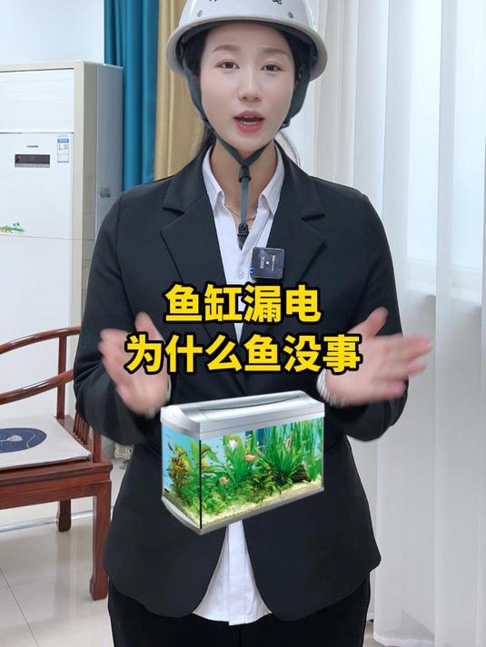 为什么鱼缸漏电而鱼没事?