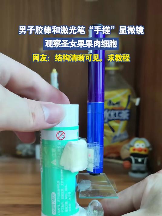 男子胶棒和激光笔“手搓”显微镜,观察圣女果果肉细胞#金榜同行时#