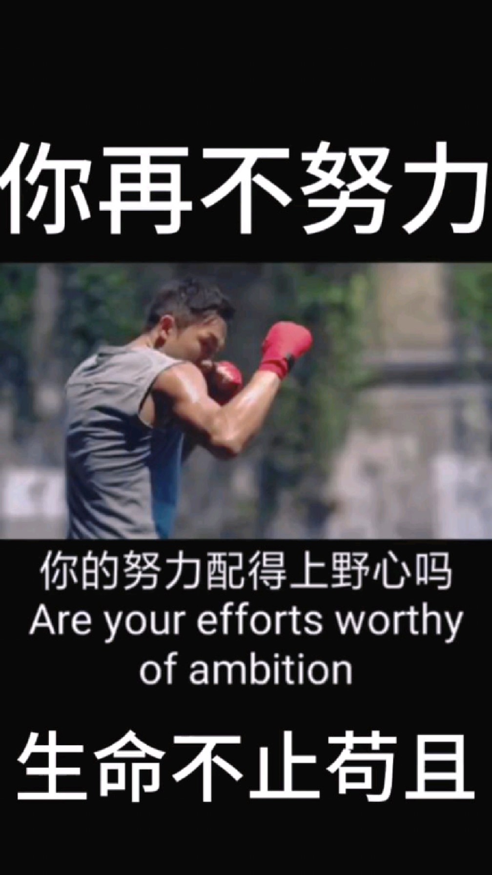 经典励志语录1