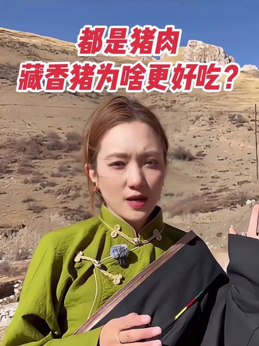 都是猪肉藏香猪为啥更好吃？#藏香猪##卓玛阳光藏香猪##土猪肉##高端食材#