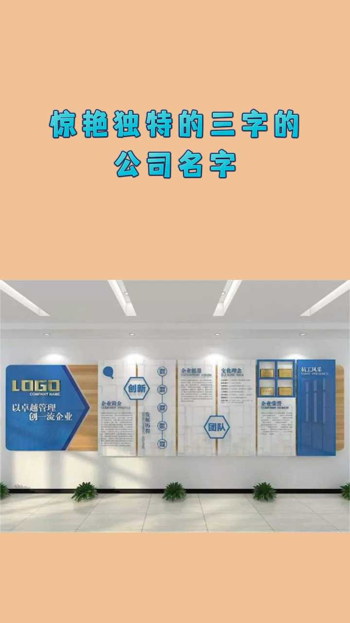 惊艳独特的三个字公司名字#公司起名 #公司起名改名 #店铺名字