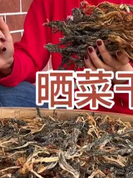 好天气晒出好菜干,晒干的菜做法有很多,拿来做梅菜肉饼也很好吃,你们喜欢怎么吃呀?