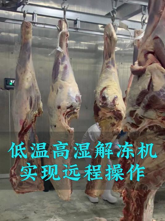 牛肉解冻机器设备,羊肉解冻机,羊肉解冻设备,冻肉转鲜肉设备