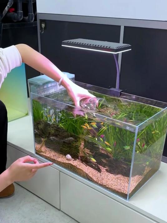 中小型鱼缸高颜值瀑布过滤器，轻松实现水清鱼亮的空气缸！