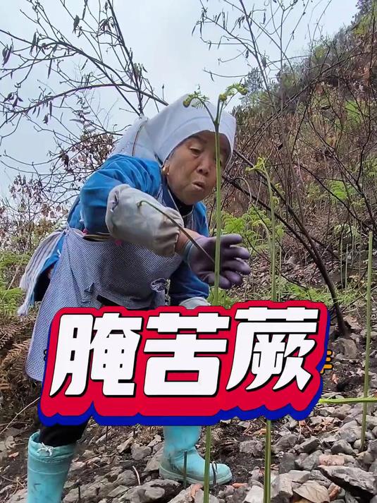 小时候妈妈每年都这样做苦蕨,好吃还能放一年