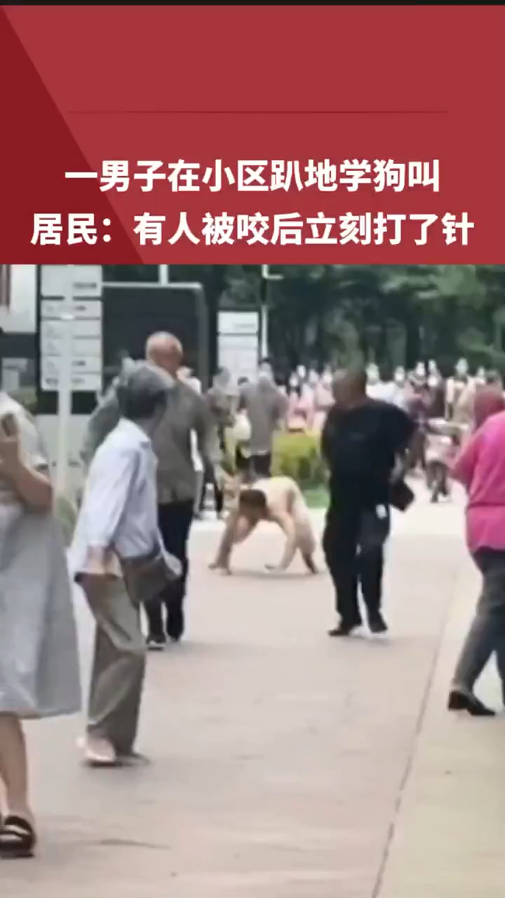 小区内一男子疑似精神异常,突然趴在地上学狗叫还扑向居民,有人被咬后立刻去打了针