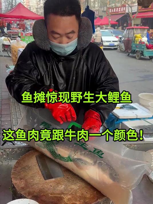 鱼摊惊现野生大鲤鱼 这鱼肉竟跟牛肉一个颜色！