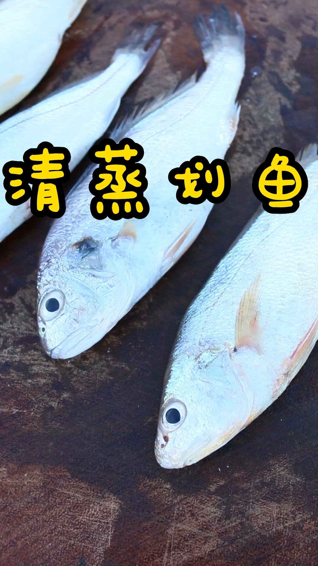 潮汕的划鱼,你吃过几种?