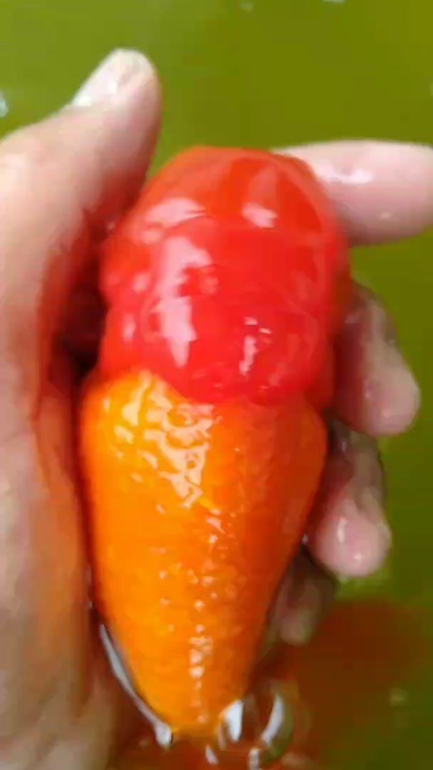 传统金鱼王字虎