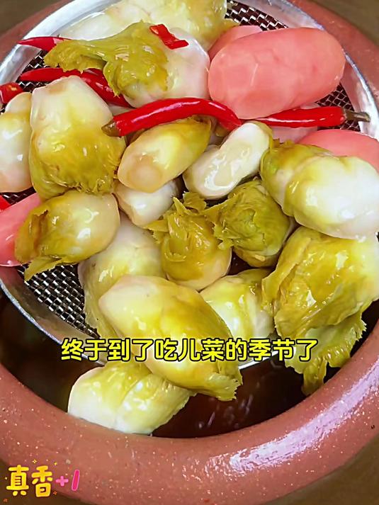 四川泡菜 #跳水酸辣泡儿菜 #香肠炒儿菜头#乡村味道 儿菜又名娃娃菜学名抱子芥。既能水煮又