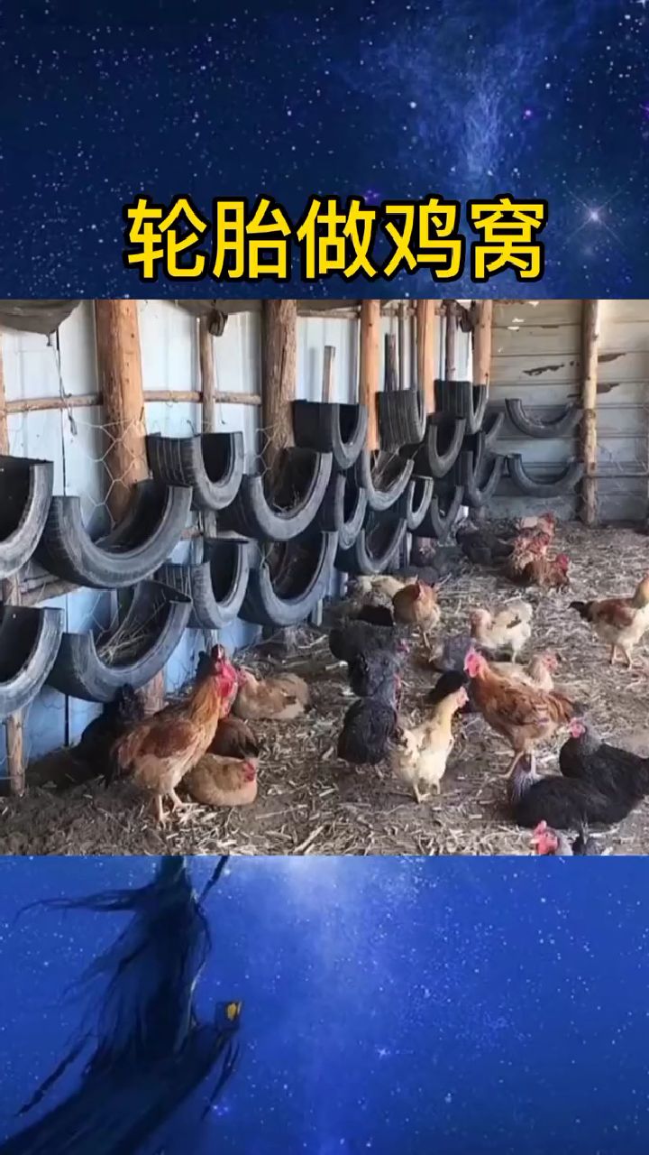 轮胎做鸡窝好