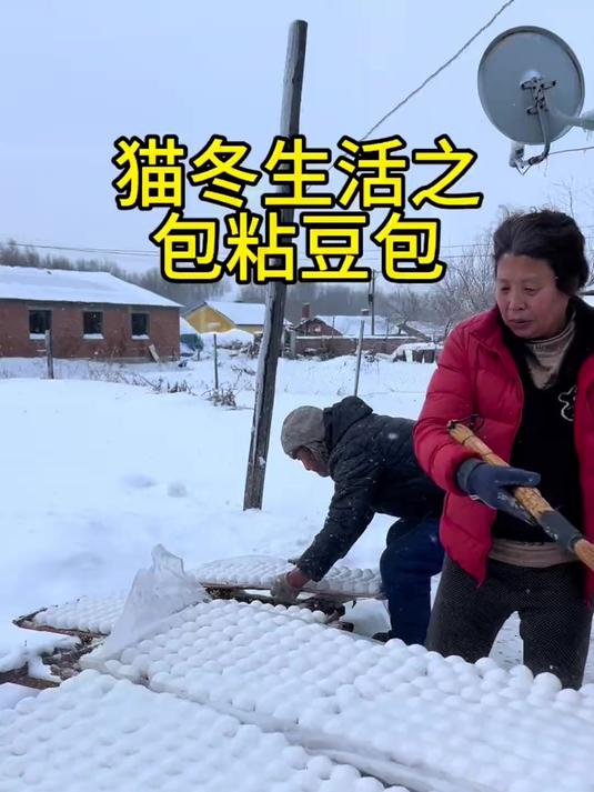 猫冬生活之囤粘豆包,带大家看看东北正宗粘豆包的做法!
