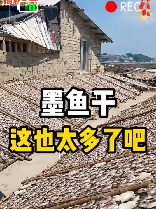 墨鱼干不止可以炖汤没想到炒着也这么好吃香香辣辣的超下饭