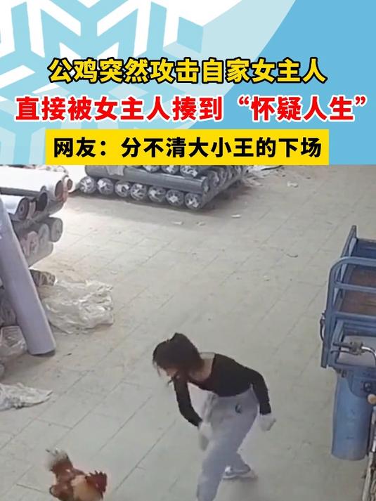 公鸡突然攻击自家女主人,直接被女主人揍到“怀疑人生”,网友:分不清大小王的下场