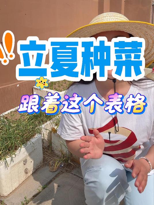夏天要到了，你知道要种些什么吗？#蔬菜种子##阳台种菜##三农##新手种菜##种菜技巧#