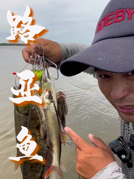 路亚各种鱼！俄罗斯路亚 俄罗斯钓鱼 俄罗斯远东钓鱼