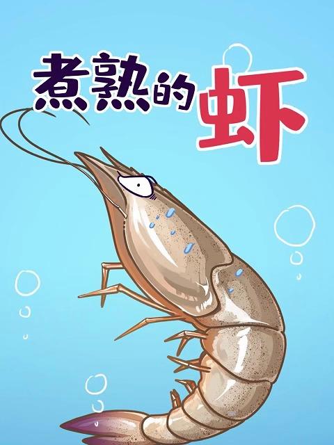 煮熟的虾,为啥会变红?
