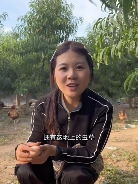 农家土鸡蛋的美味,在于其天然质朴