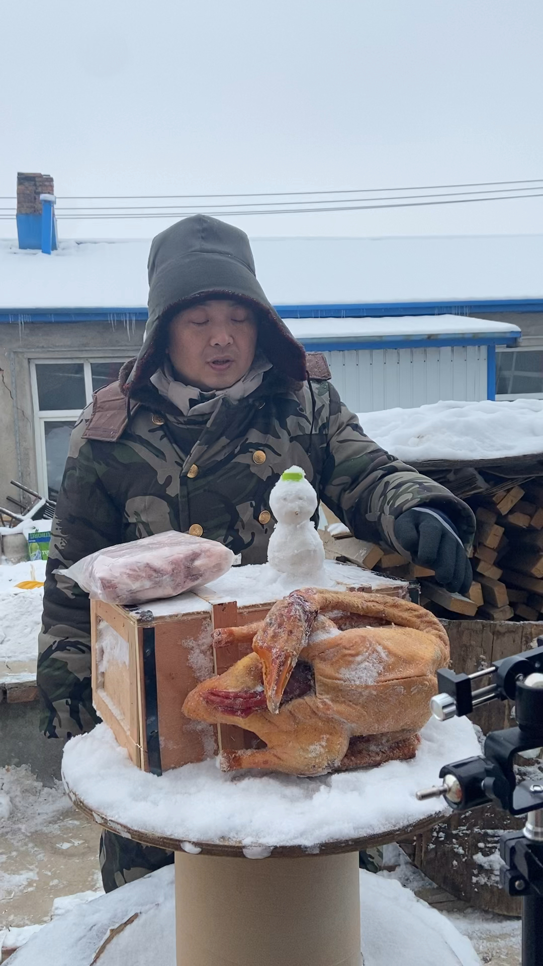 农村散养笨大鹅正在直播,喜欢吃的进直播间