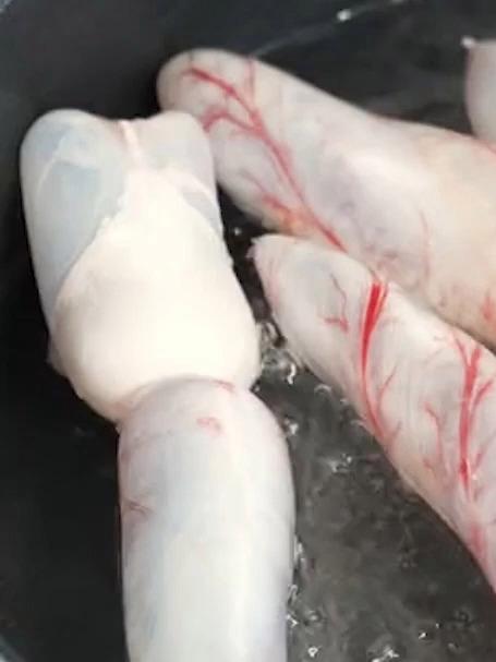 鱼泡又叫鱼胶、鱼白,你吃过吗?