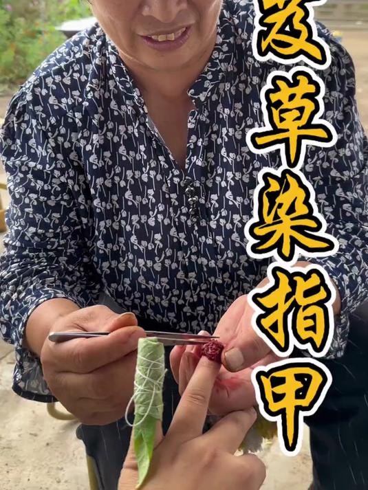 童年回忆芨芨草花染指甲 你们小时候也用这个花染过指甲吗?