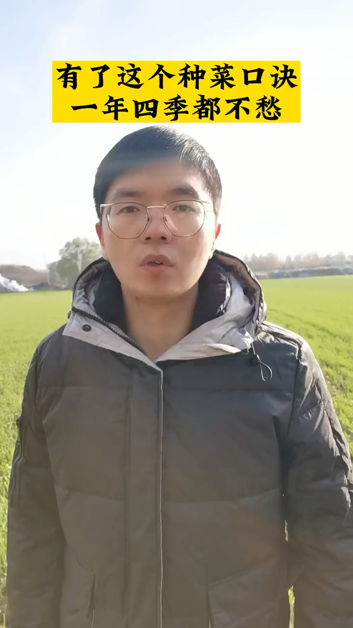 有了这个种菜口诀,一年四季都不愁啦