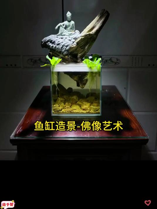 传统佛像艺术的鱼缸造景！意境美！