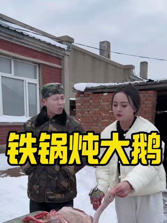 铁锅炖大鹅