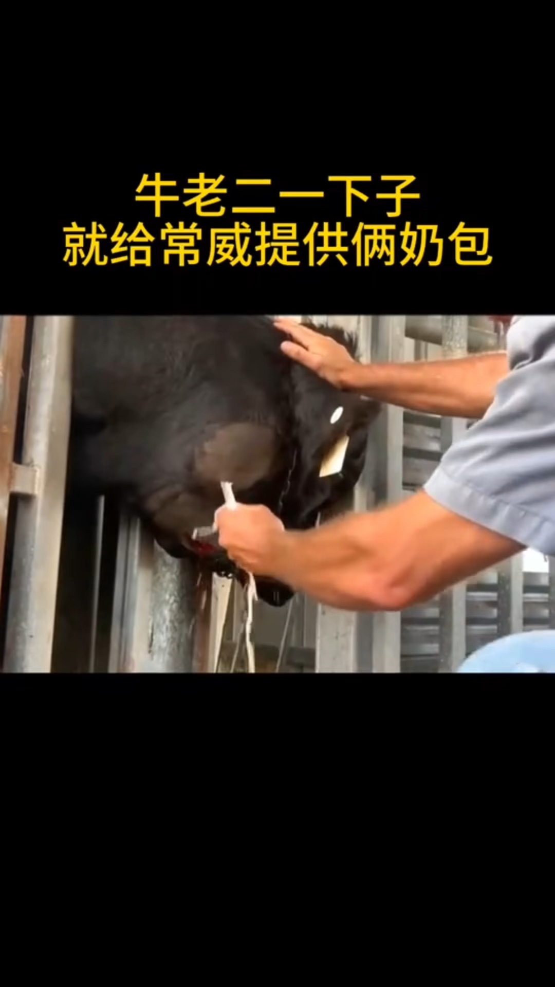 纯正奶昔原汁原味。