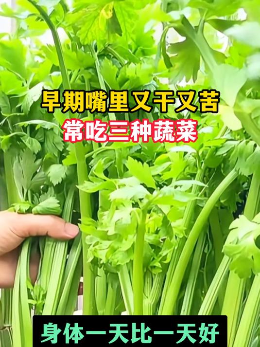 早期嘴里又干又苦，常吃三种蔬菜，身体一天比一天好