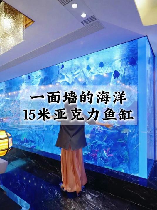 一面墙的鱼缸,豪宅15米亚克力鱼缸