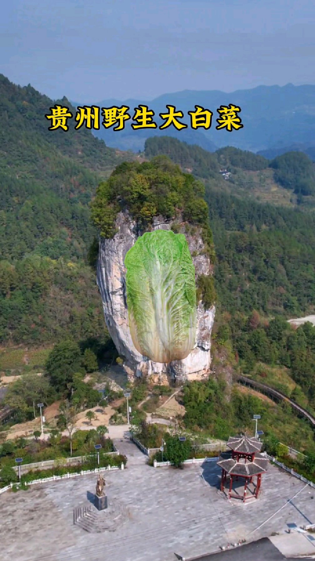 在贵州发现一座造型奇怪的的石头,形似一颗白菜迎风而立,因此得名白菜石。