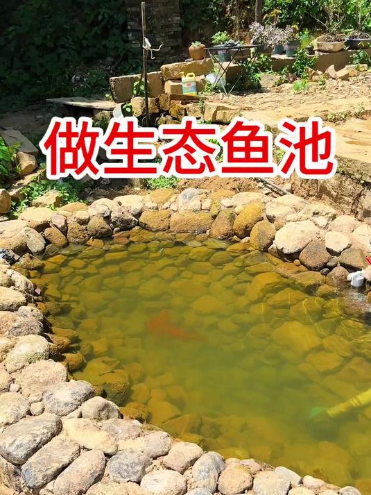 今天完善生态鱼池鱼池过滤仓