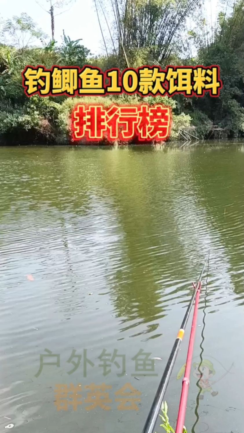 钓鲫鱼十大饵料排行榜,野战蓝鲫只拍第三