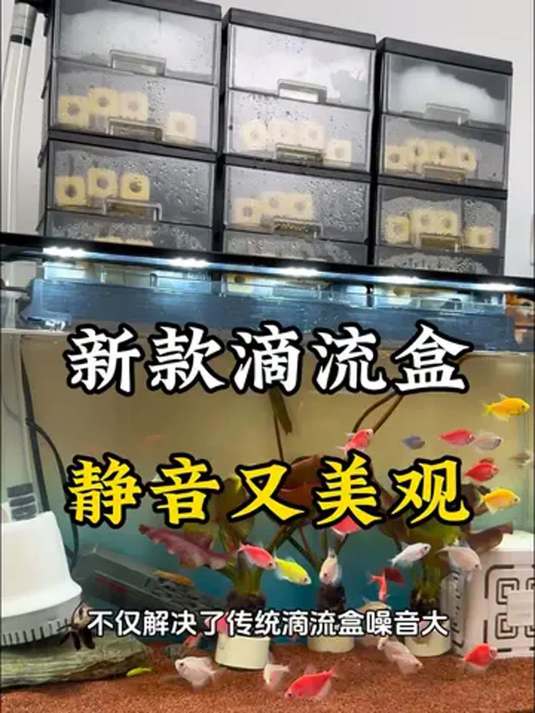 Yee 新款滴流盒 静音美观易打理 鱼缸过滤首选