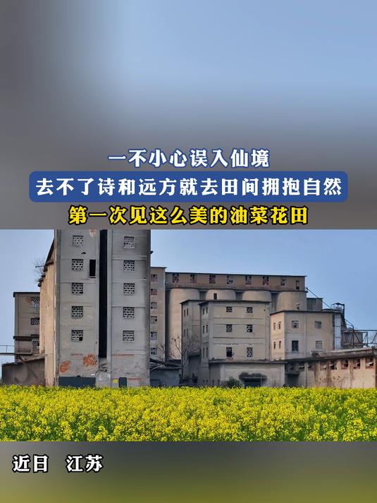 一不小心误入仙境,去田间拥抱自然,第一次见这么美的油菜花田