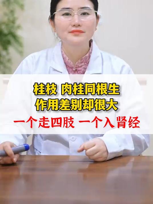 桂枝、肉桂同根生,作用差别却很大,一个走四肢,一个入肾经