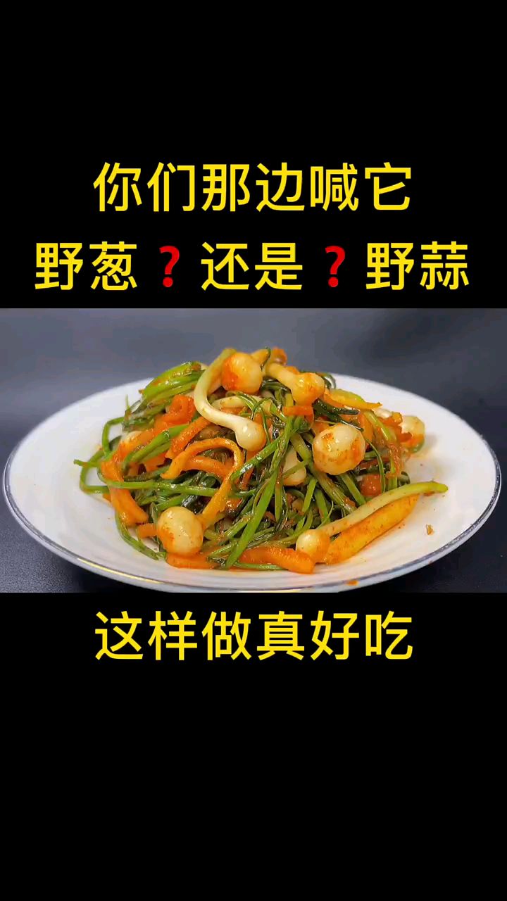 分享野蒜做法真下饭